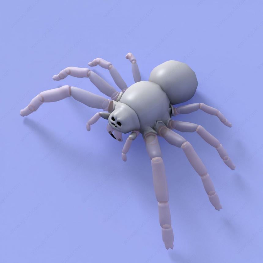 蜘蛛C4D模型