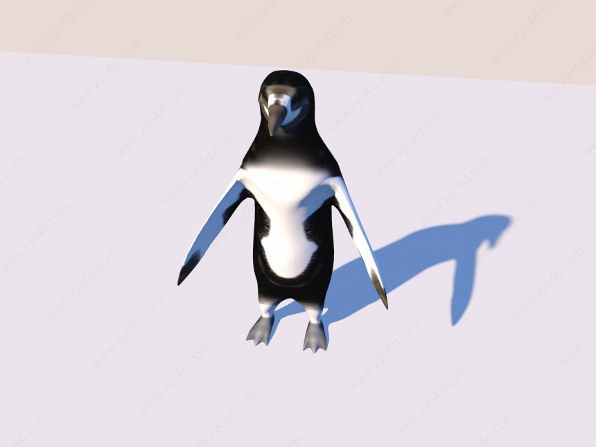 企鹅C4D模型