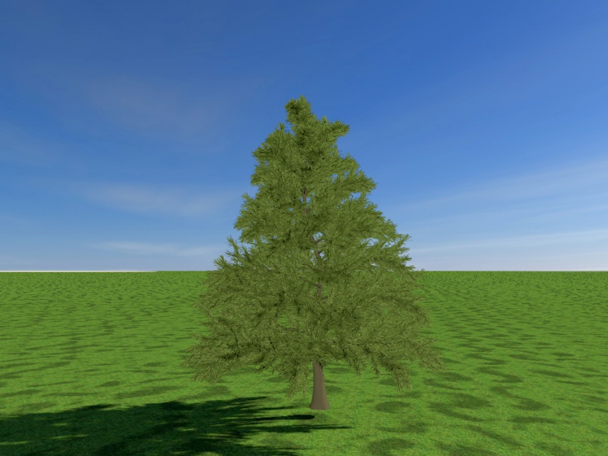 松树C4D模型