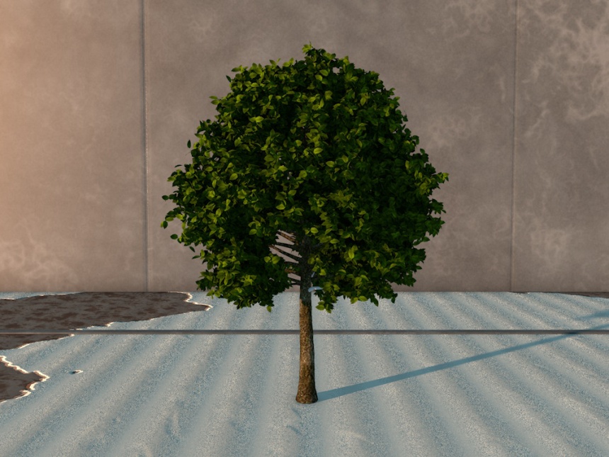 阔叶树C4D模型
