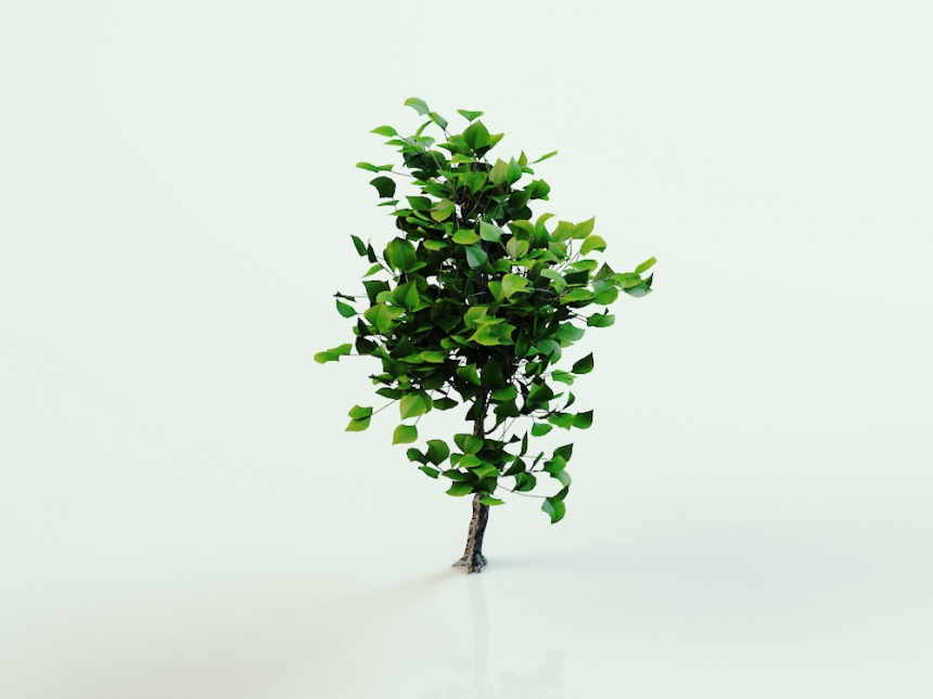 绿化灌木C4D模型