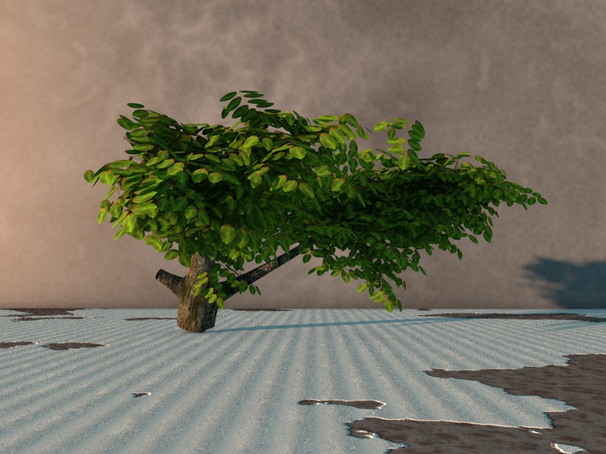 园林树木C4D模型