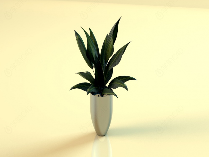 盆栽花瓶C4D模型