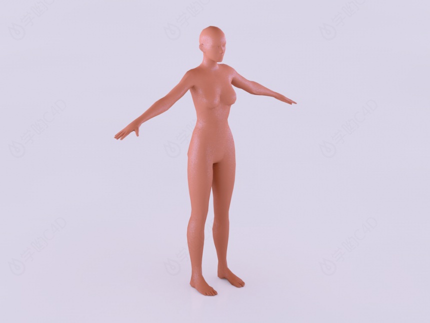 人体模特公仔C4D模型