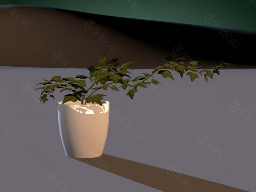 盆栽植物C4D模型