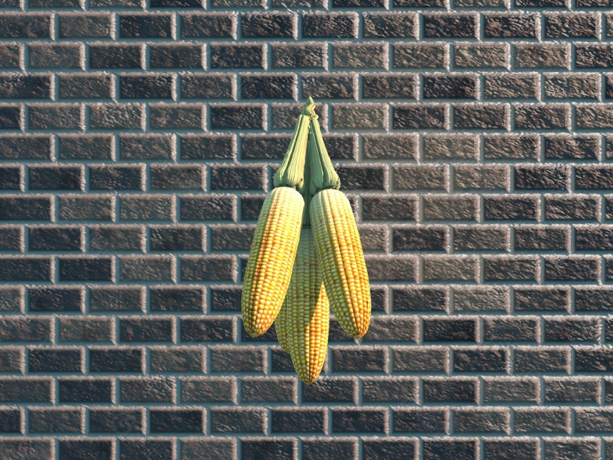 玉米摆设品C4D模型