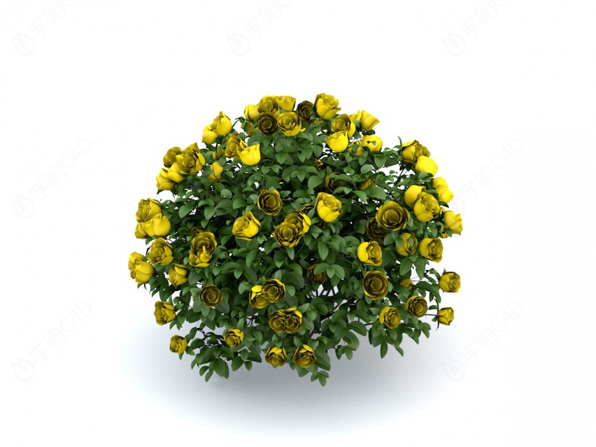 黄色玫瑰花C4D模型