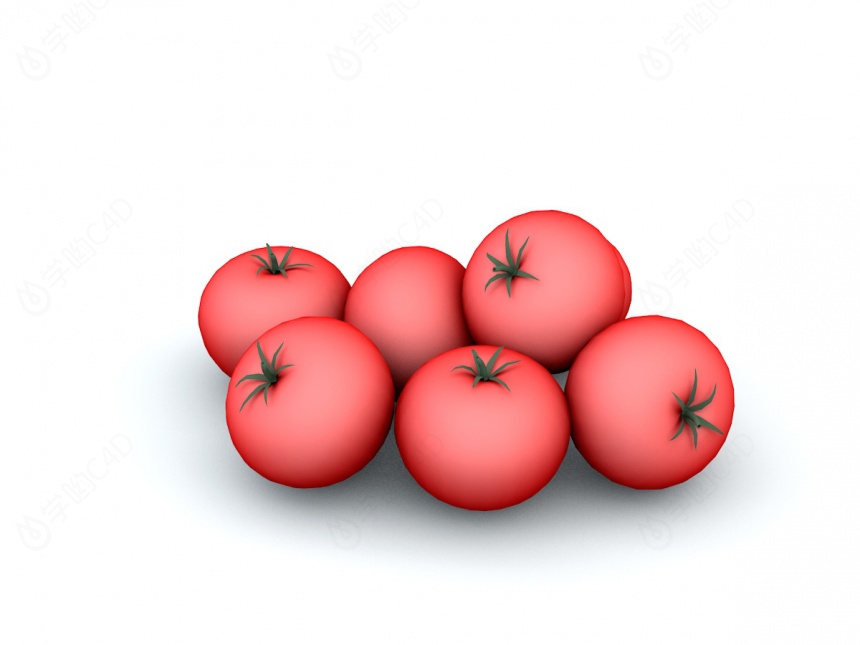 西红柿番茄C4D模型