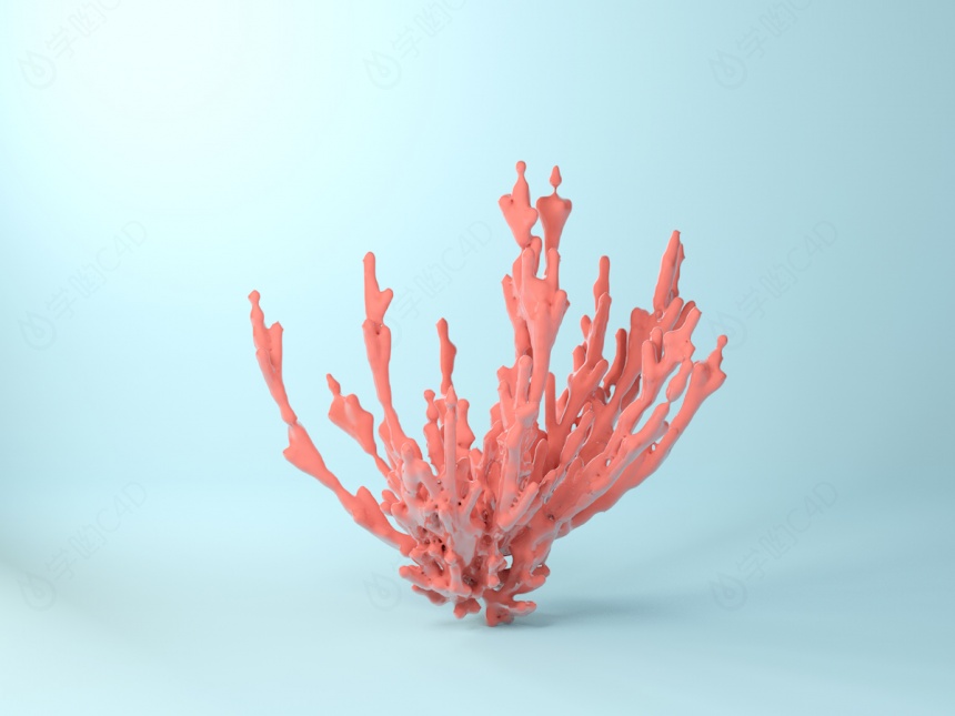 海洋生物珊瑚牛血C4D模型