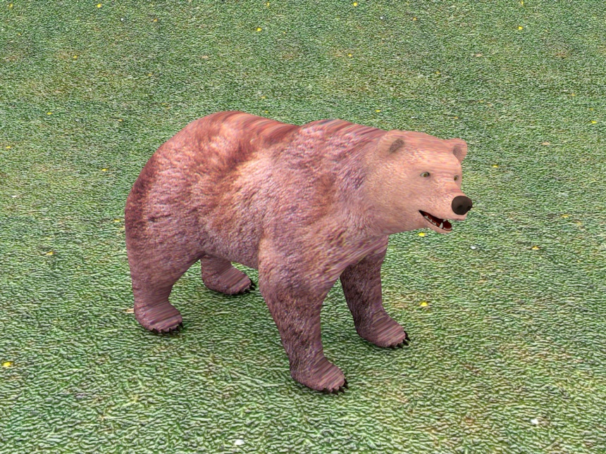 狗熊C4D模型