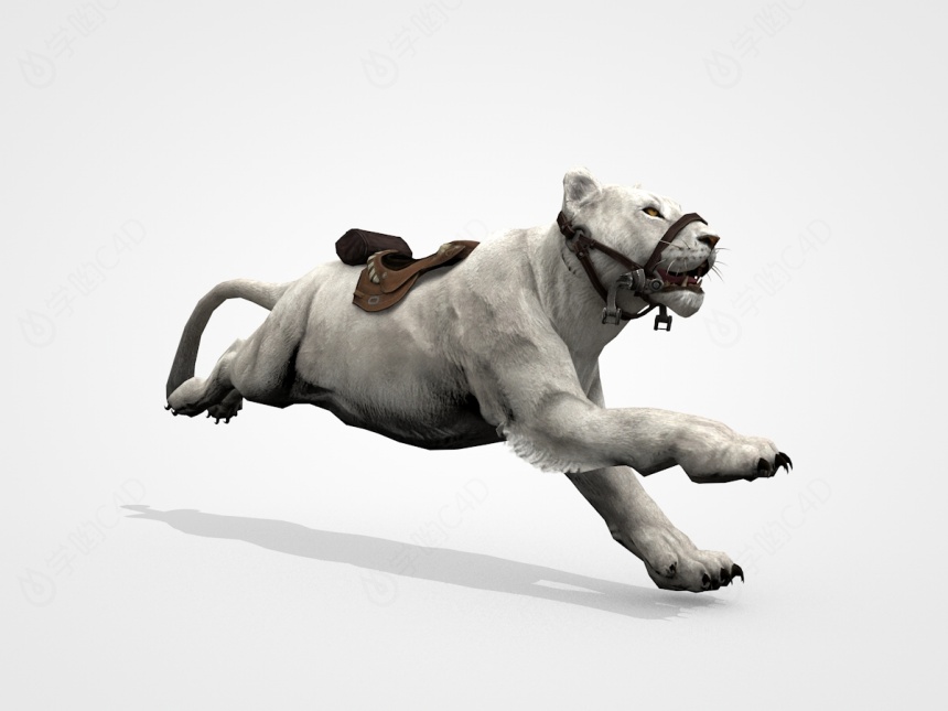 奔跑的母狮子C4D模型