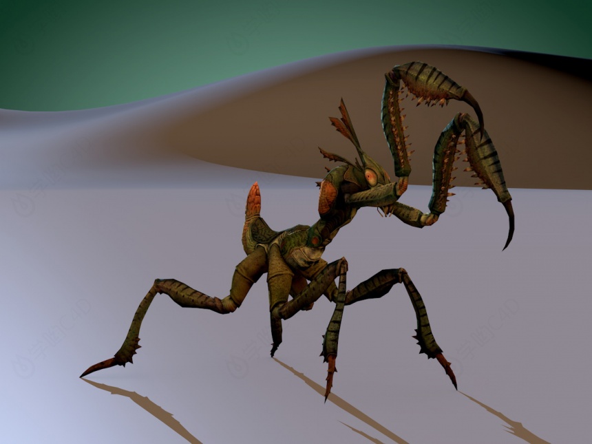 螳螂带绑定C4D模型