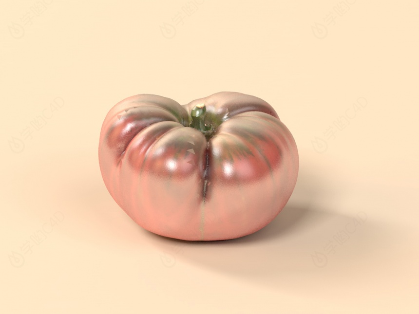 西红柿C4D模型