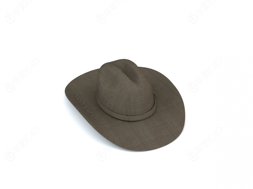 咖啡色帽子C4D模型