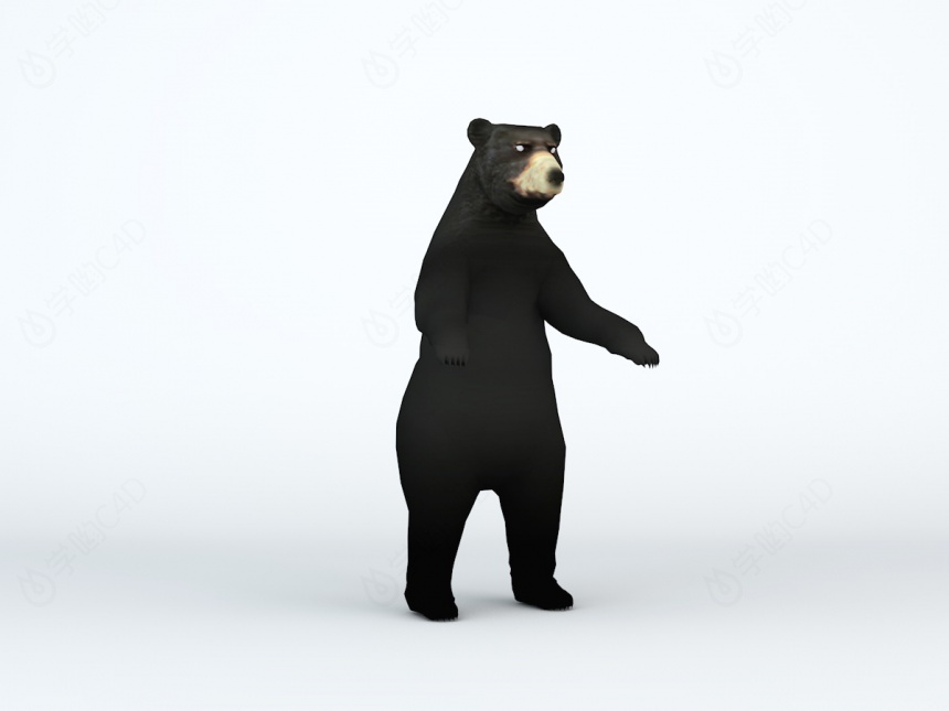 黑熊C4D模型