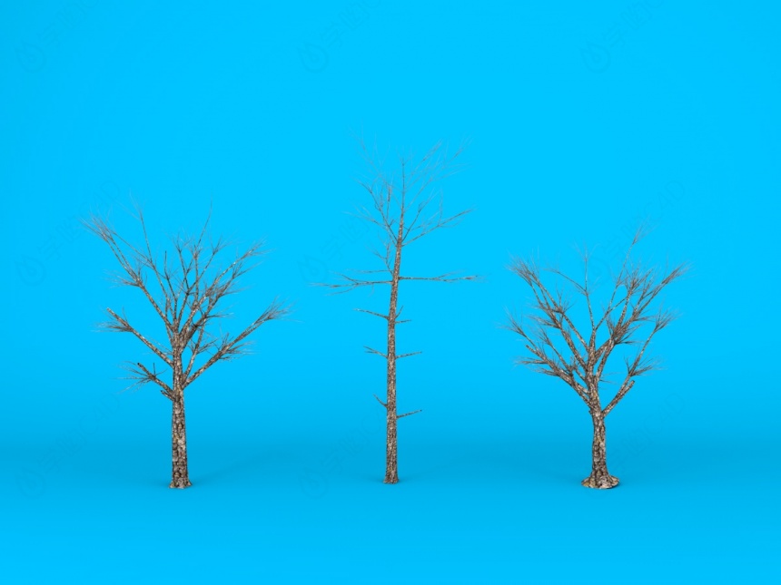 树支C4D模型
