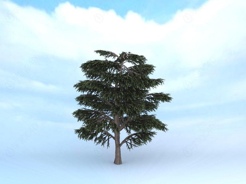 树木C4D模型