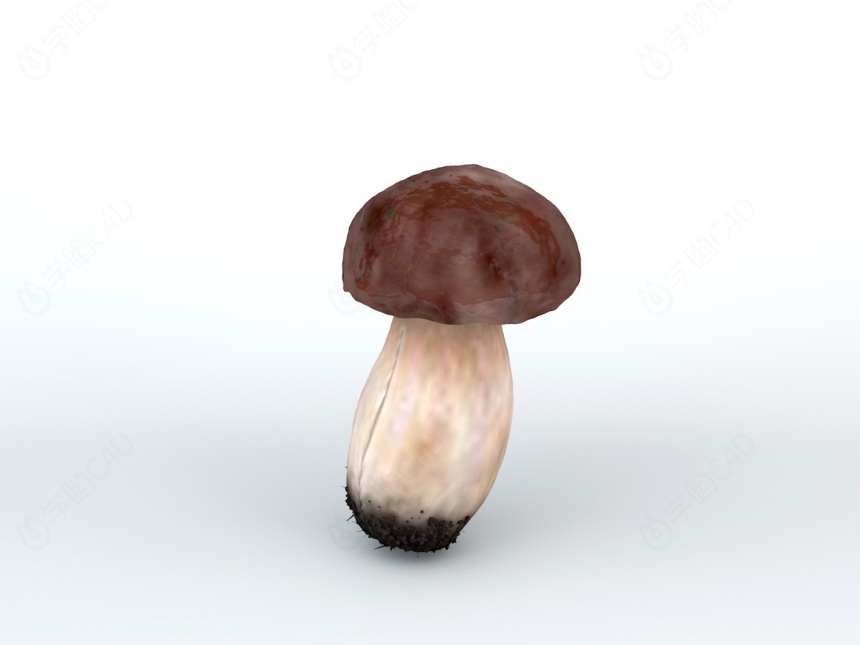 蘑菇头C4D模型