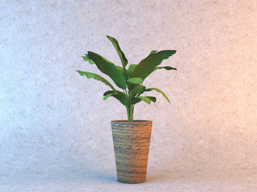 芭蕉盆栽植物C4D模型