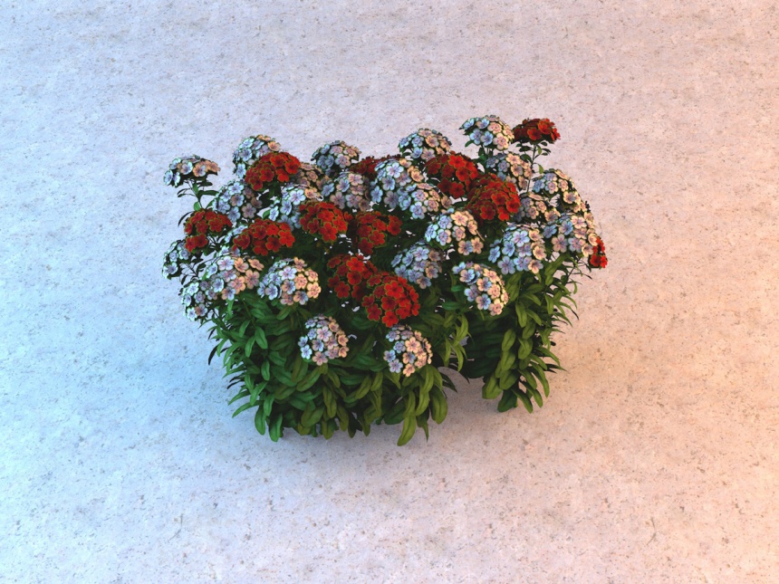红色小花植物C4D模型