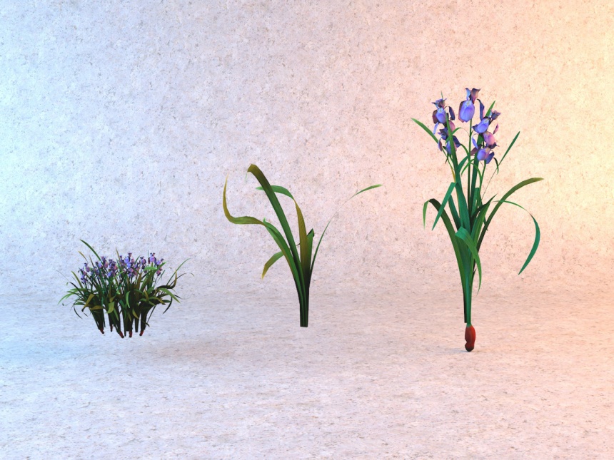 紫色花卉C4D模型
