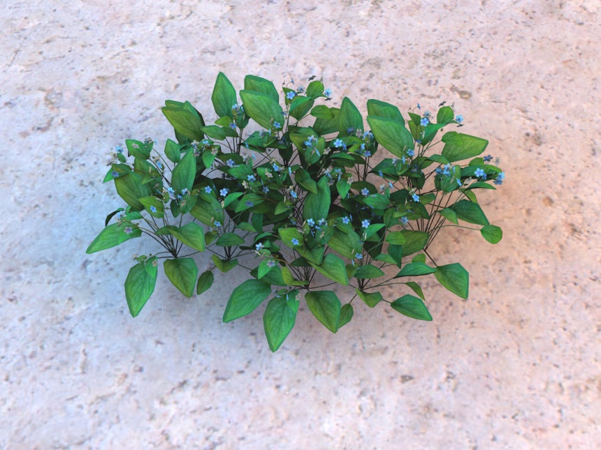 蓝色小花植物C4D模型