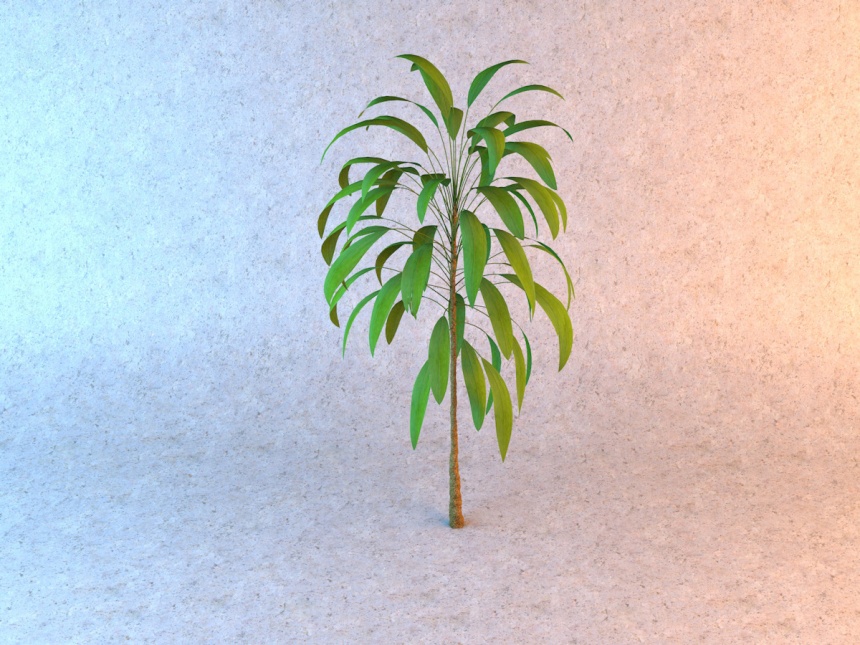 狭长绿叶植物C4D模型