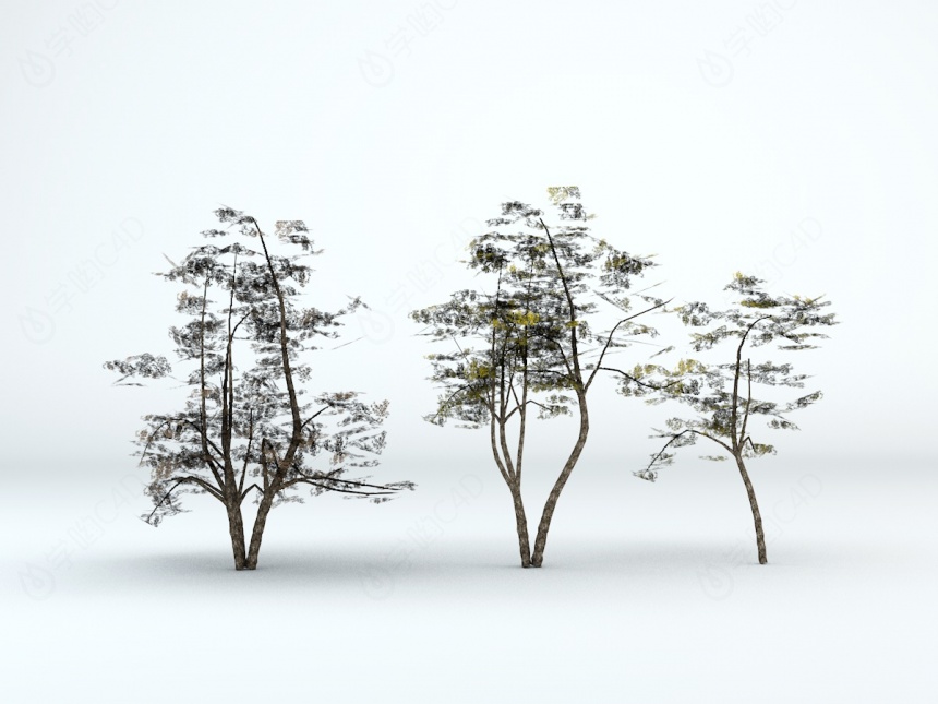 三棵树C4D模型