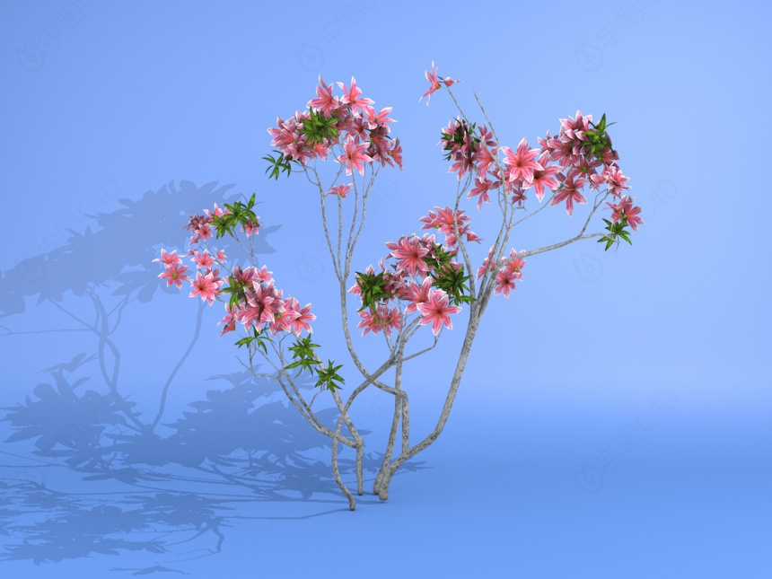 百合花树C4D模型