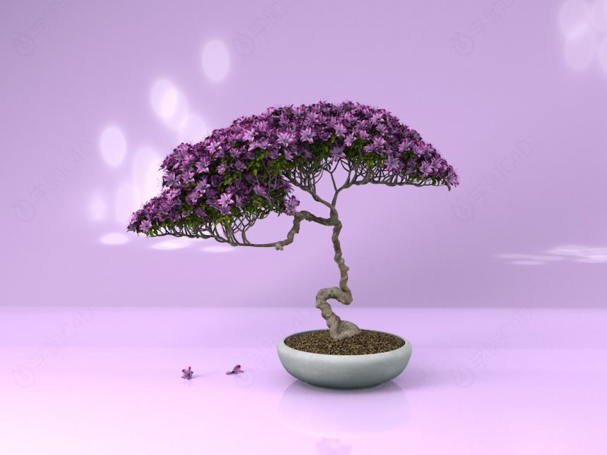 紫色花盆栽C4D模型