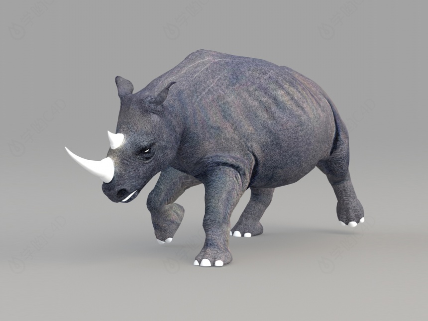 野生动物犀牛C4D模型
