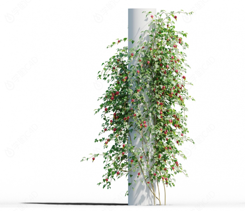 植物花墙C4D模型