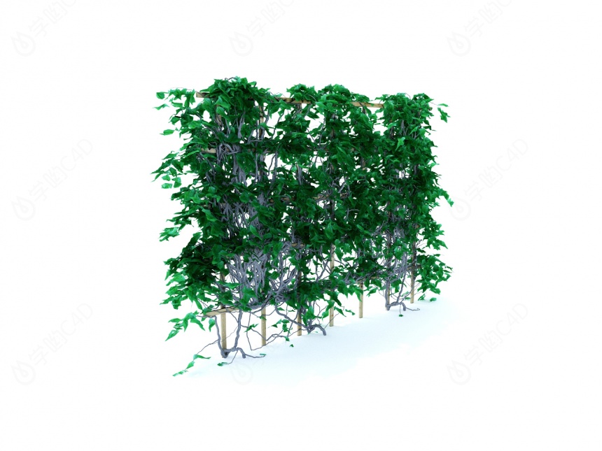 植物树藤C4D模型