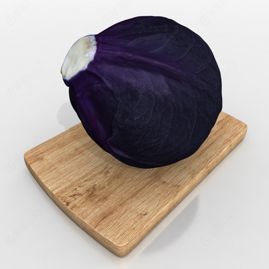 蔬菜紫甘蓝C4D模型