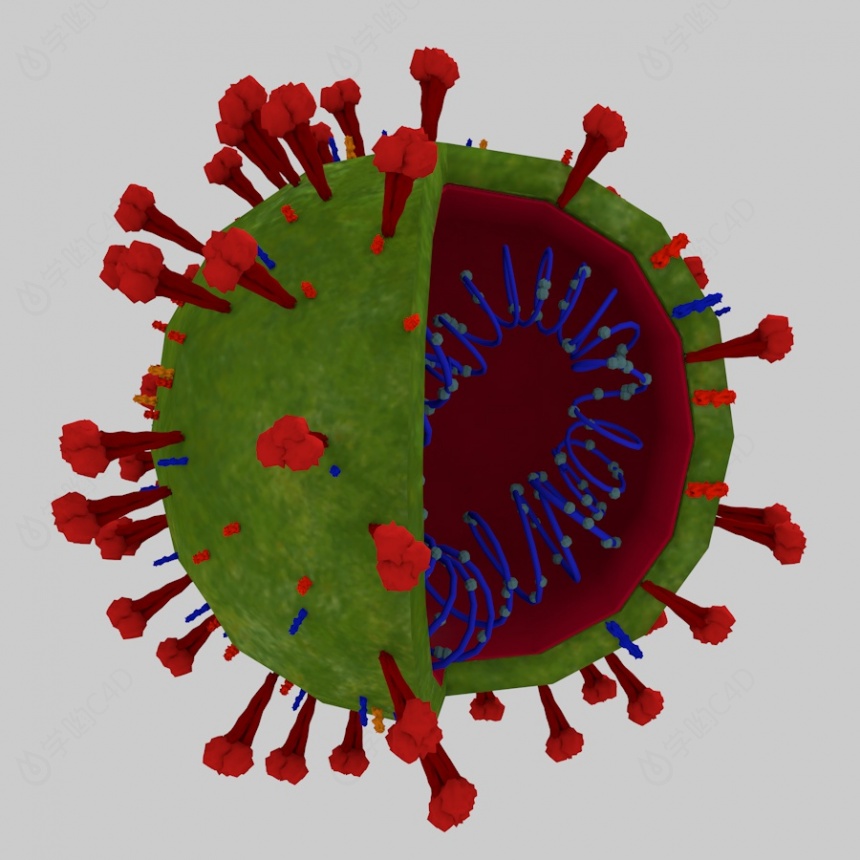 新冠病毒C4D模型