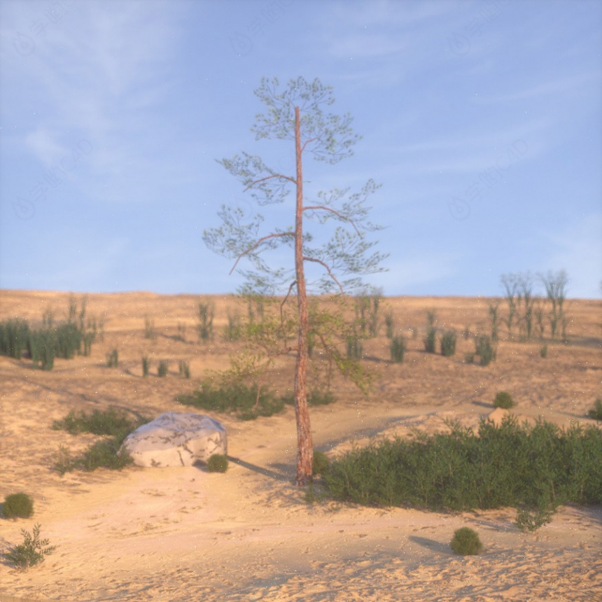 创意植物树木C4D模型