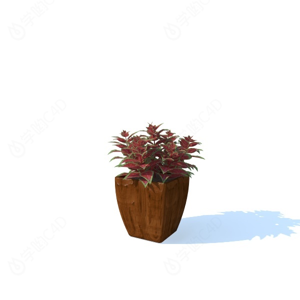 现代植物花盆C4D模型