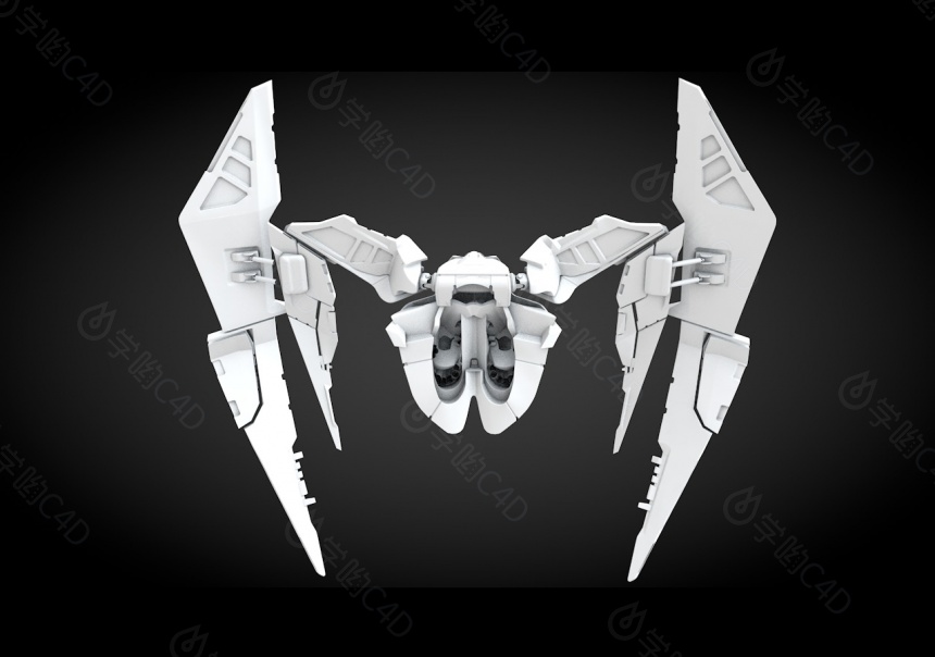白色翅膀羽翼C4D模型