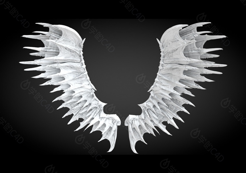 白色翅膀羽翼C4D模型