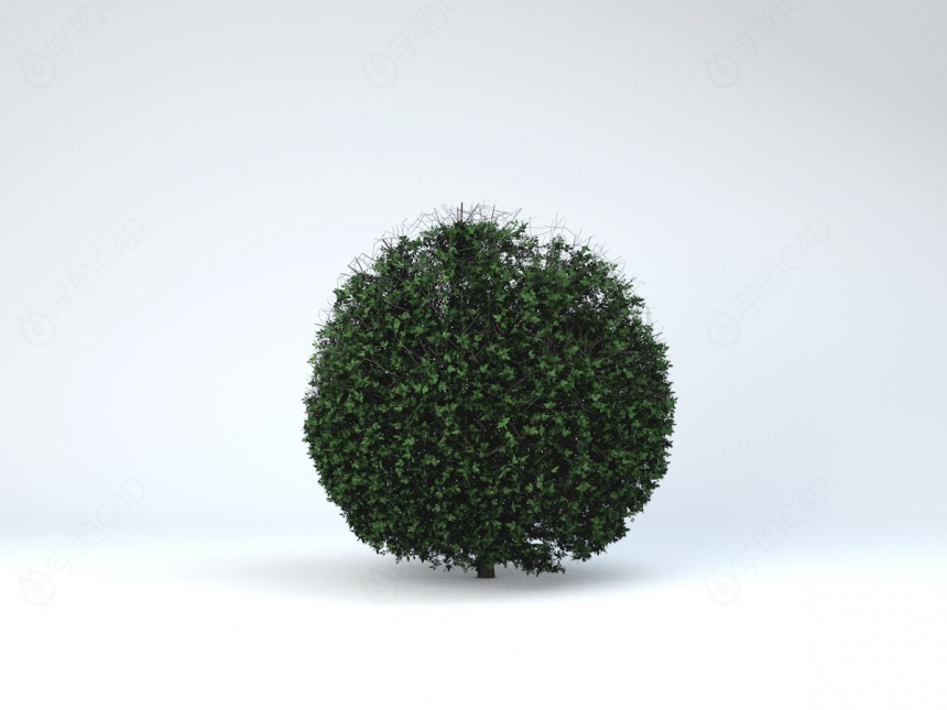 绿色树球C4D模型