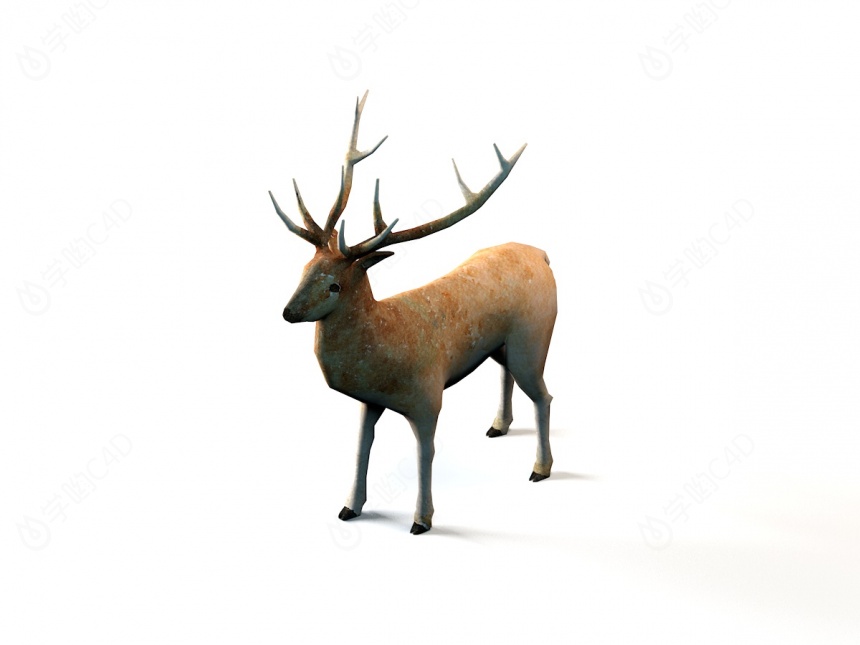 小动物鹿C4D模型