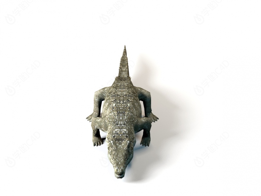 鳄鱼C4D模型