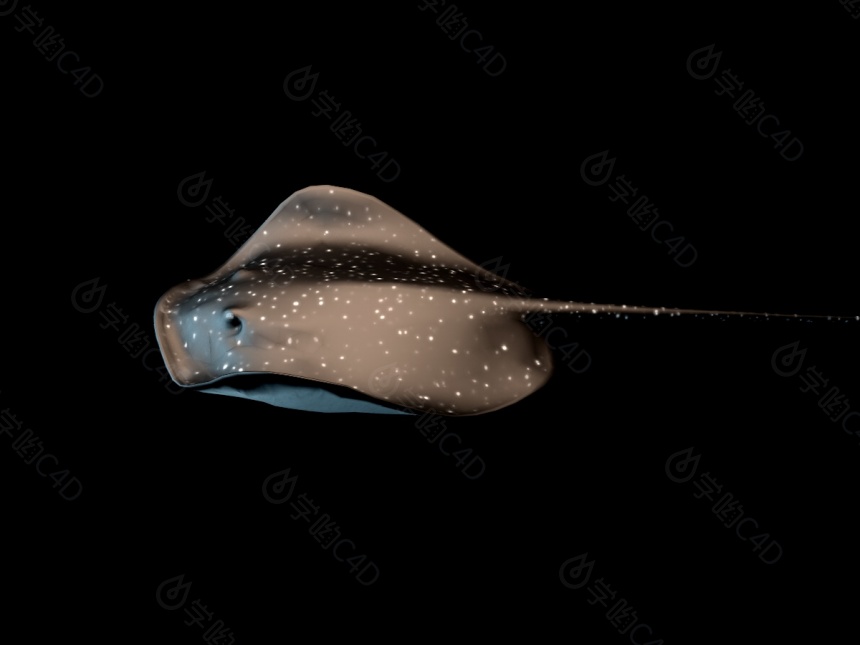 深海大鱼C4D模型