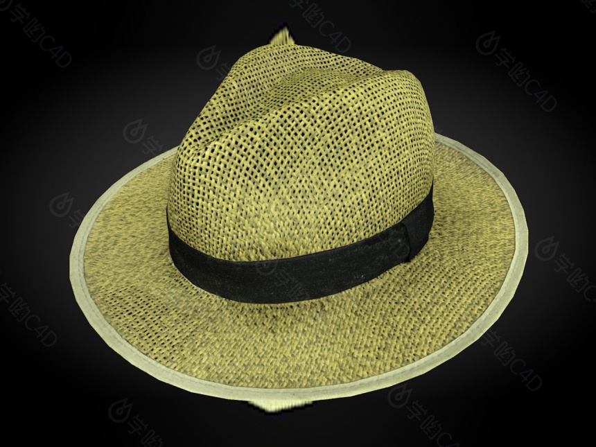 现代服装配饰爵士帽C4D模型