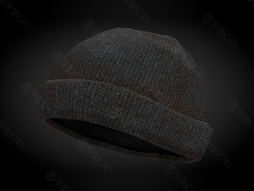 现代服装配饰毛帽子C4D模型