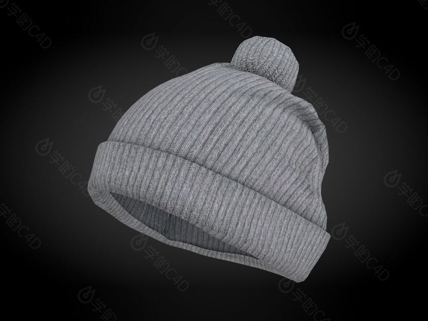 现代服装配饰冬帽子C4D模型