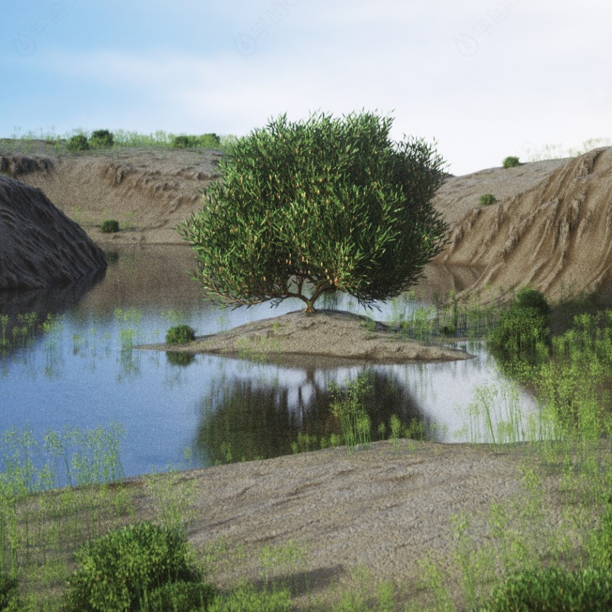 河边池塘水池C4D模型