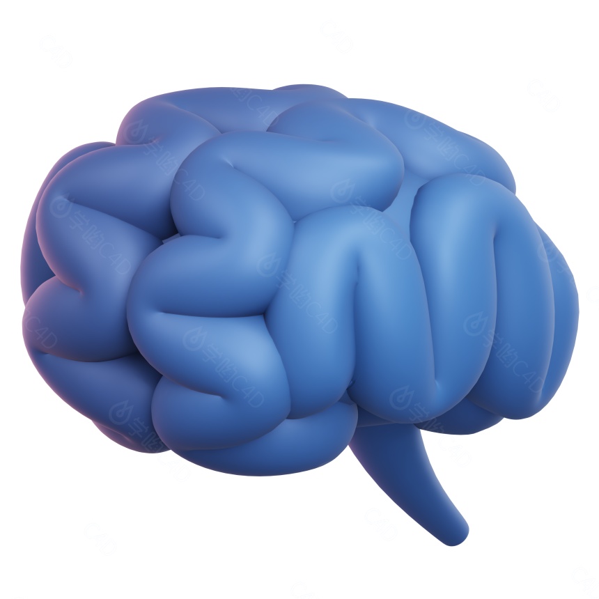 卡通医疗图标大脑C4D模型