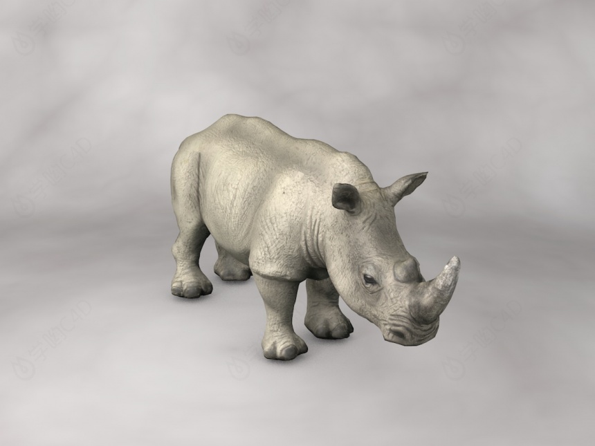 野生动物白犀C4D模型