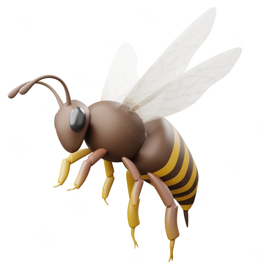 蜜蜂昆虫C4D模型